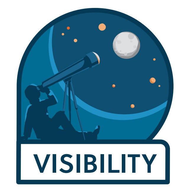 project management challenge visibility